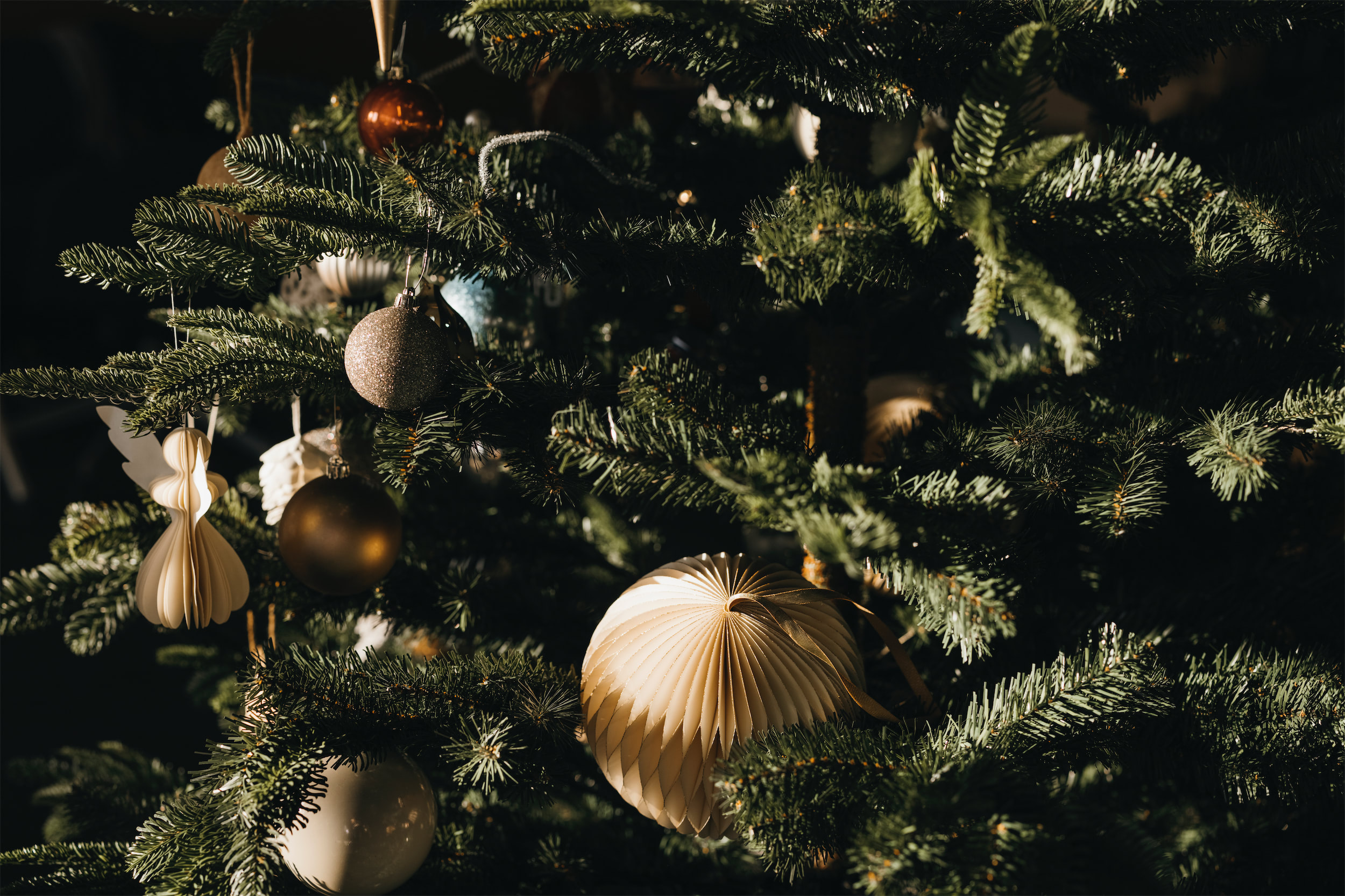 Christmas at Hotel Realm
