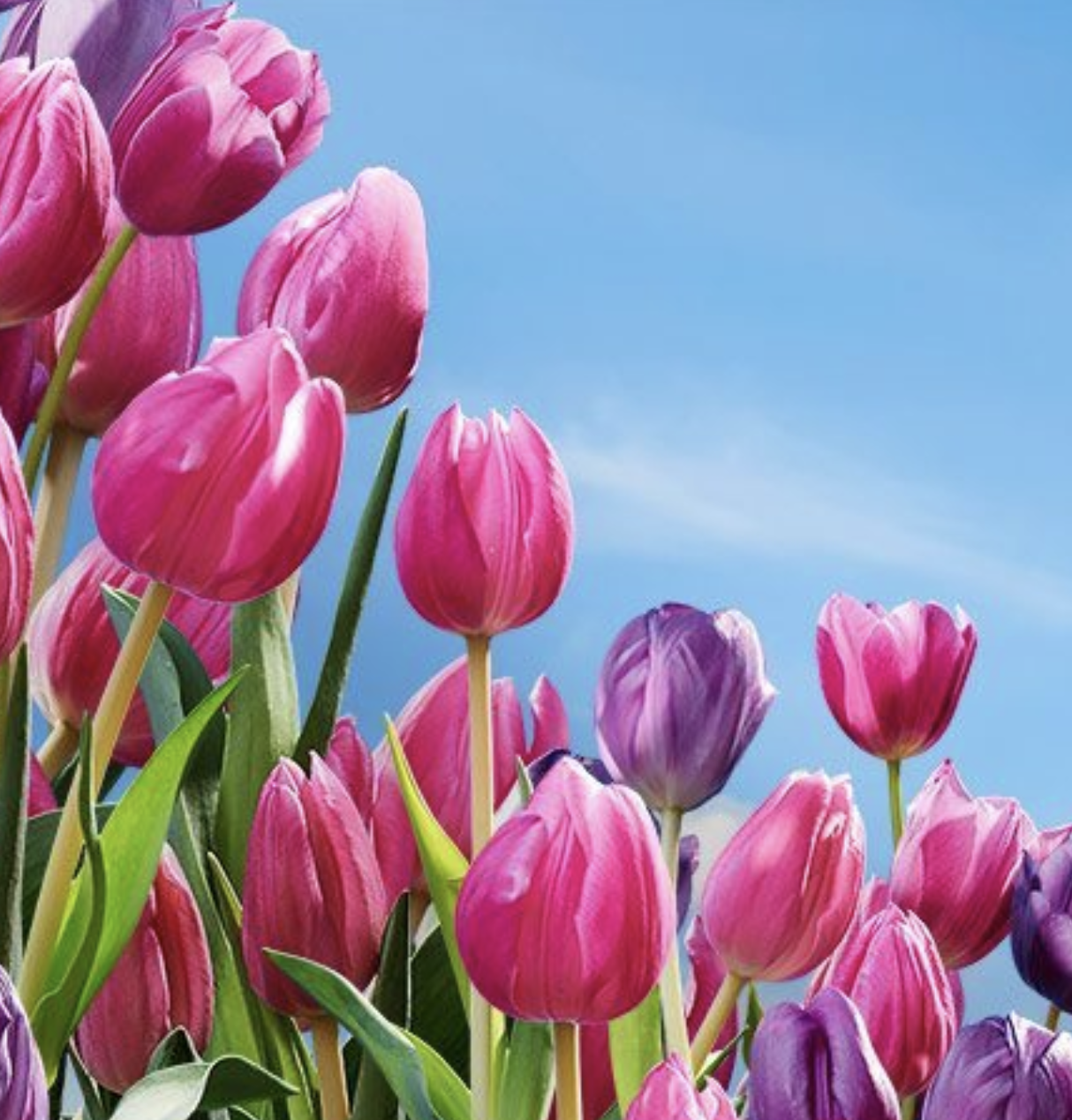 Floriade